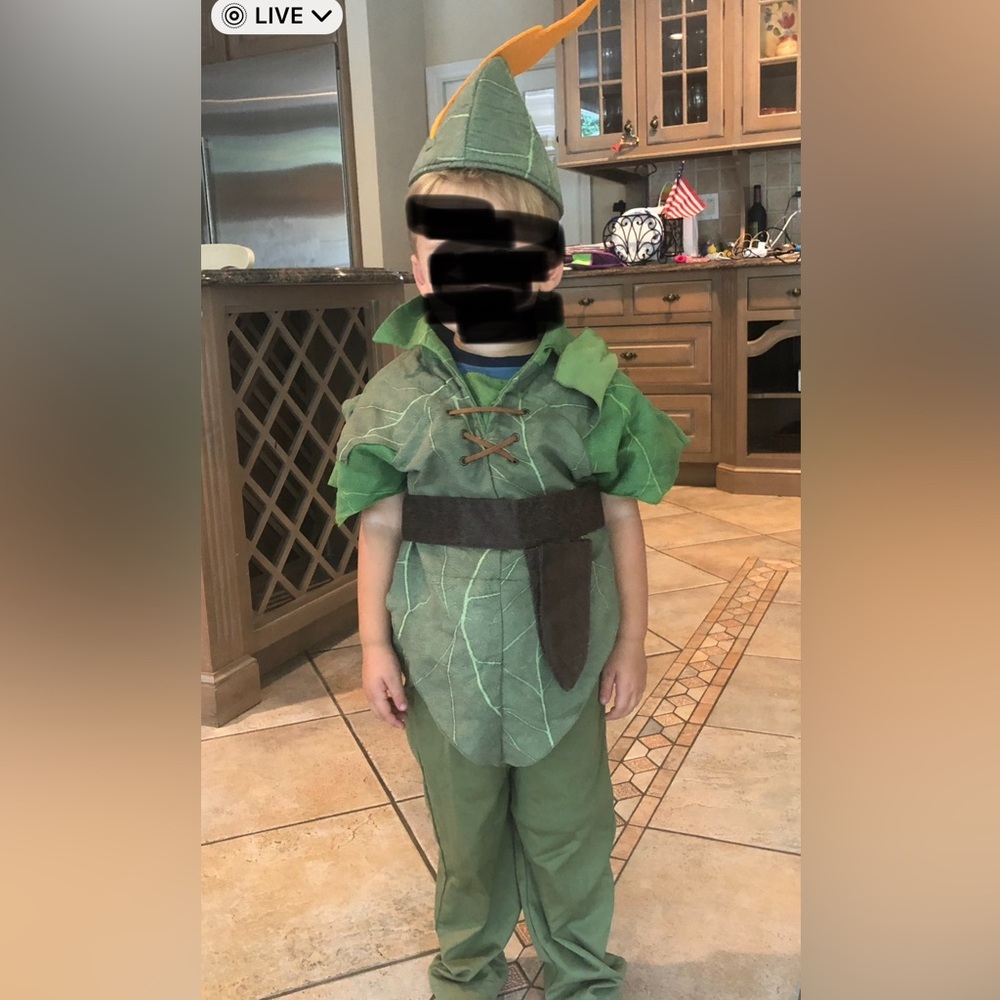 Disney Peter Pan costume